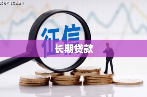 新市长期贷款