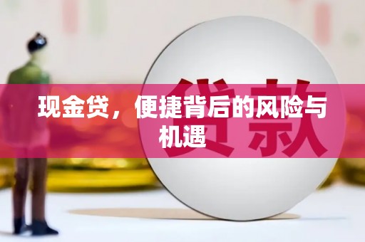 新市现金贷，便捷背后的风险与机遇