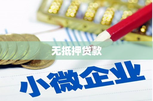 新市无抵押贷款