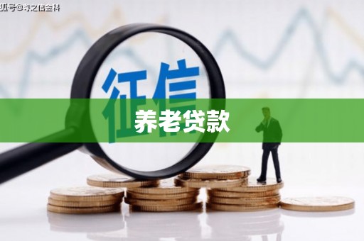 新市养老贷款