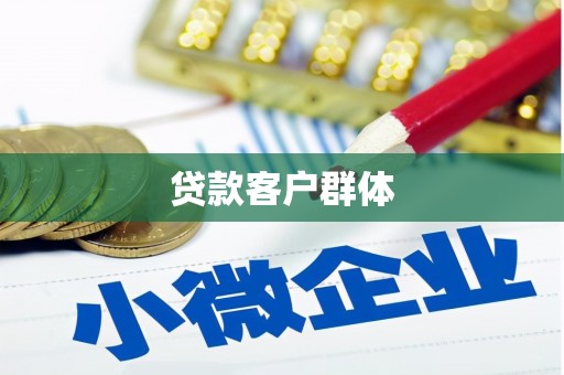 新市贷款客户群体