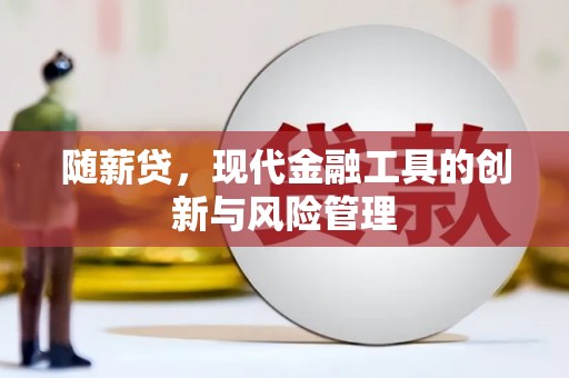 新市随薪贷，现代金融工具的创新与风险管理