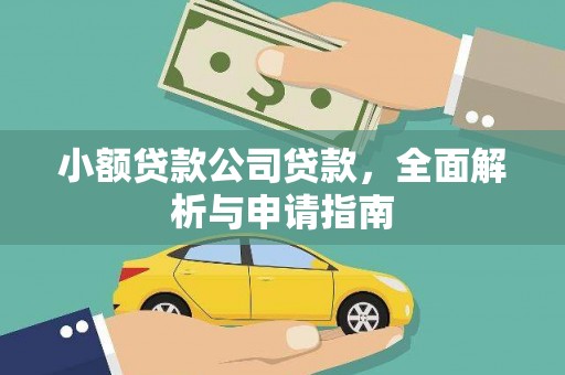 新市小额贷款公司贷款，全面解析与申请指南