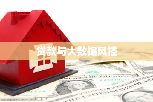 新市贷款与大数据风控