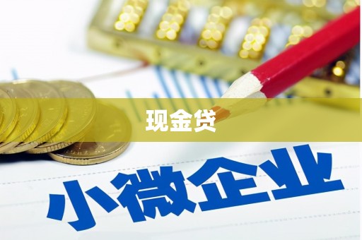 新市现金贷