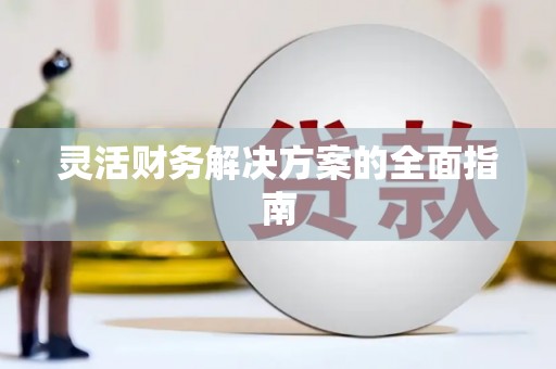 新市灵活财务解决方案的全面指南