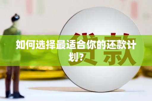 新市如何选择最适合你的还款计划？