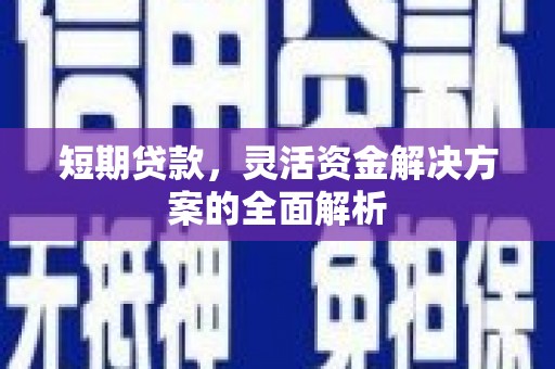 新市短期贷款，灵活资金解决方案的全面解析