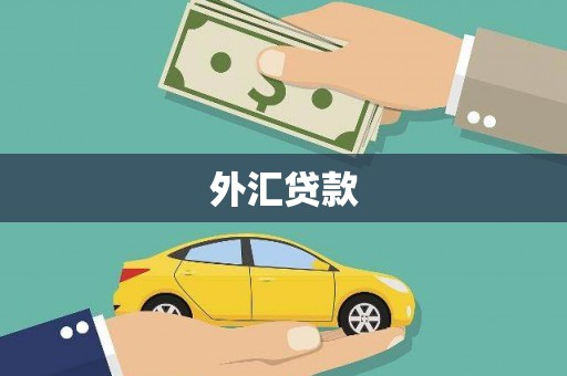 新市外汇贷款