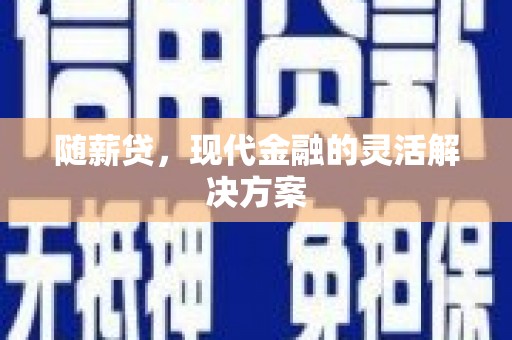 新市随薪贷，现代金融的灵活解决方案