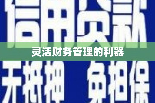 新市灵活财务管理的利器
