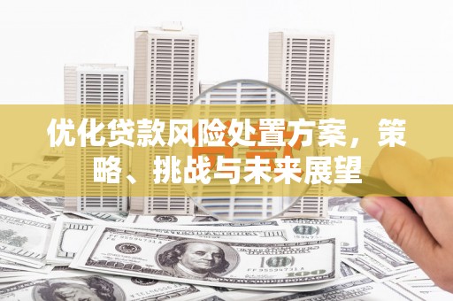 新市优化贷款风险处置方案，策略、挑战与未来展望