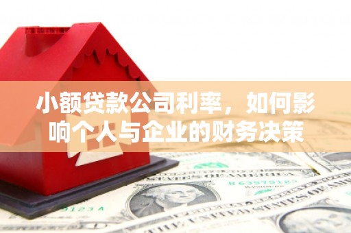 新市小额贷款公司利率，如何影响个人与企业的财务决策