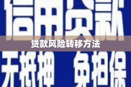 新市贷款风险转移方法