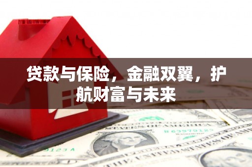新市贷款与保险，金融双翼，护航财富与未来