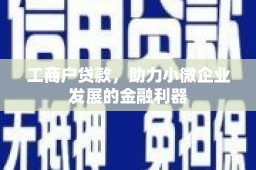 新市工商户贷款，助力小微企业发展的金融利器