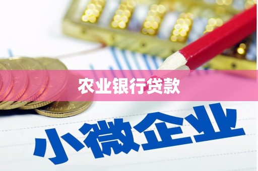 新市农业银行贷款