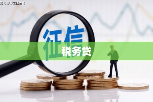 新市税务贷