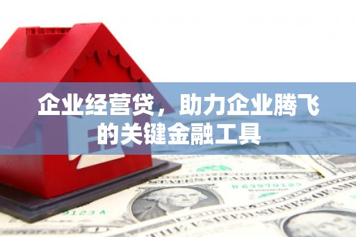 新市企业经营贷，助力企业腾飞的关键金融工具