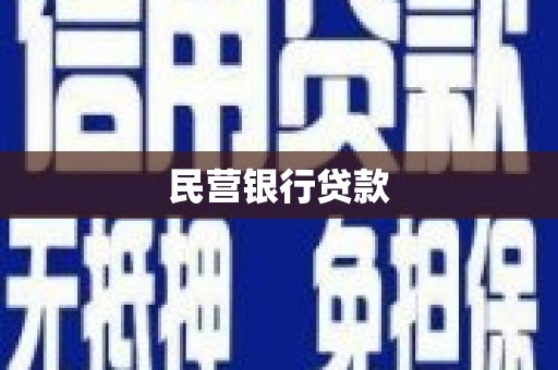 新市民营银行贷款
