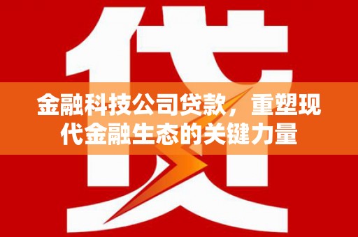 新市金融科技公司贷款，重塑现代金融生态的关键力量