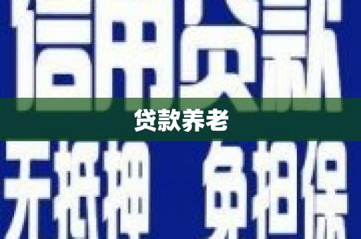 新市贷款养老
