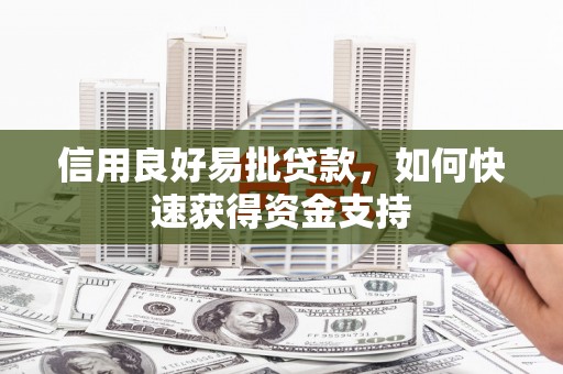 新市信用良好易批贷款，如何快速获得资金支持