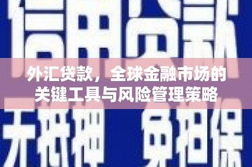 新市外汇贷款，全球金融市场的关键工具与风险管理策略