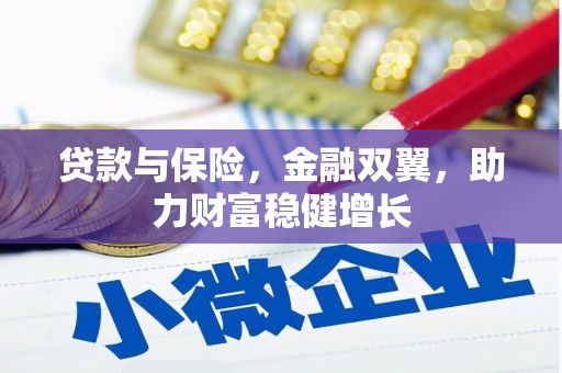 新市贷款与保险，金融双翼，助力财富稳健增长