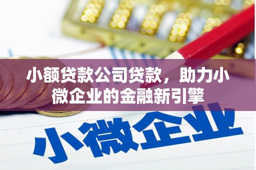 新市小额贷款公司贷款，助力小微企业的金融新引擎
