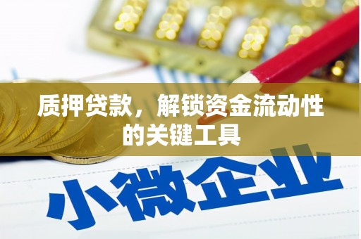 新市质押贷款，解锁资金流动性的关键工具