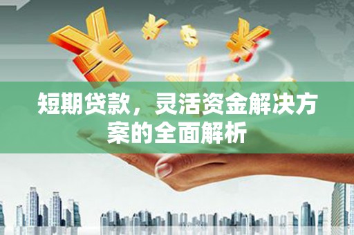 新市短期贷款，灵活资金解决方案的全面解析