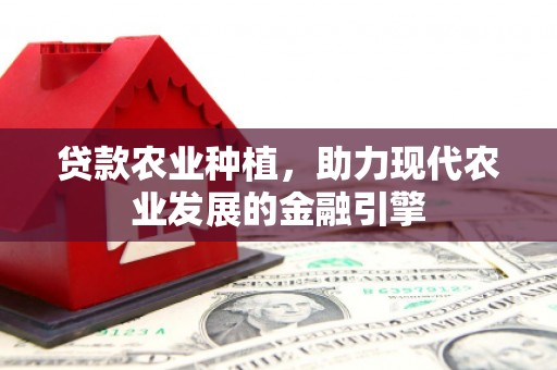 新市贷款农业种植，助力现代农业发展的金融引擎