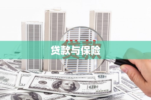 新市贷款与保险