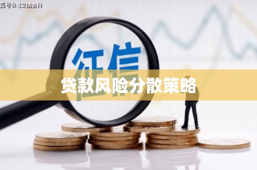 新市贷款风险分散策略