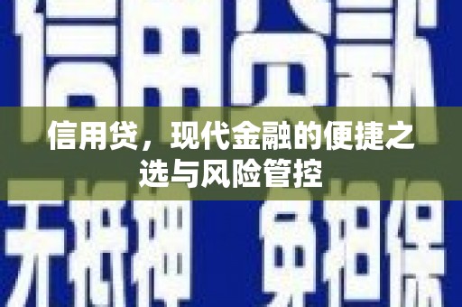 新市信用贷，现代金融的便捷之选与风险管控