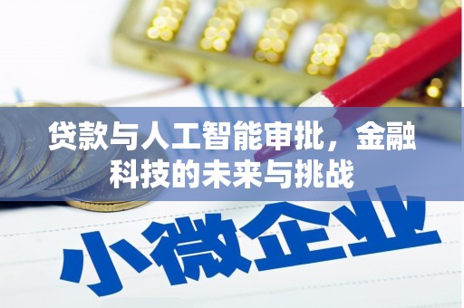 新市贷款与人工智能审批，金融科技的未来与挑战