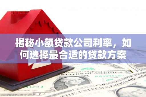 新市揭秘小额贷款公司利率，如何选择最合适的贷款方案