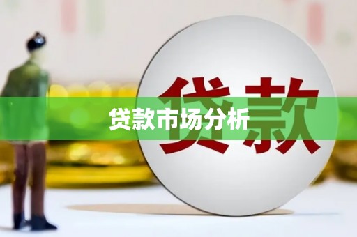 新市贷款市场分析