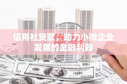 新市信用社贷款，助力小微企业发展的金融利器