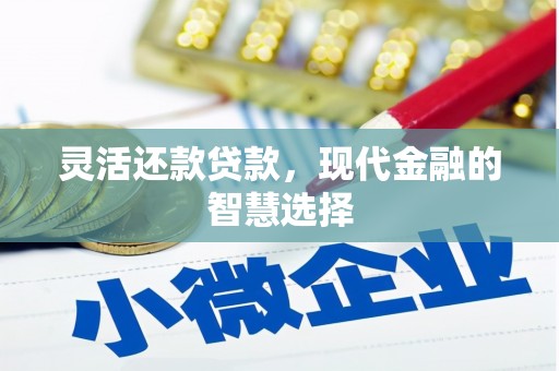新市灵活还款贷款，现代金融的智慧选择