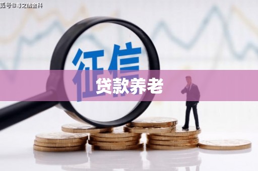 新市贷款养老