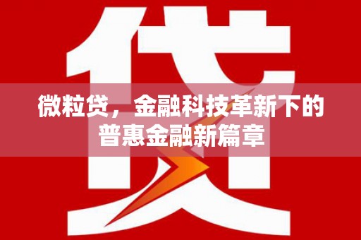 新市微粒贷，金融科技革新下的普惠金融新篇章