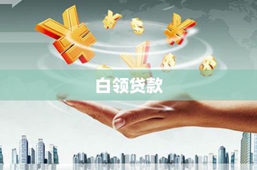 新市白领贷款