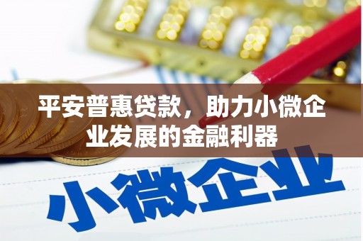 新市平安普惠贷款，助力小微企业发展的金融利器