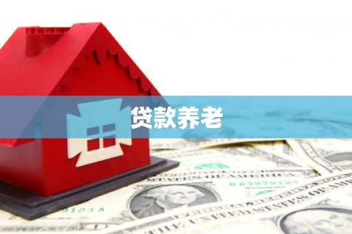 新市贷款养老