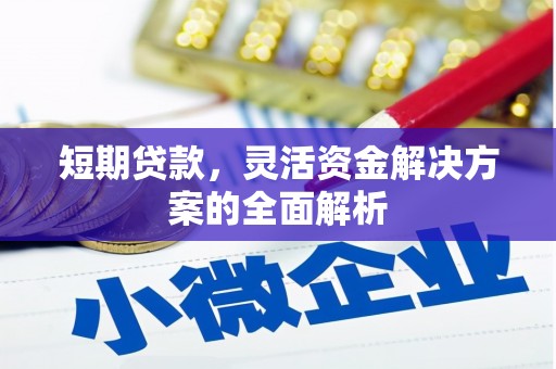 新市短期贷款，灵活资金解决方案的全面解析