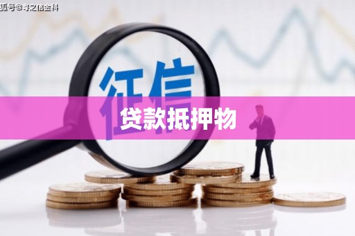 新市贷款抵押物