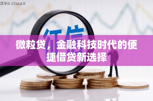 新市微粒贷，金融科技时代的便捷借贷新选择