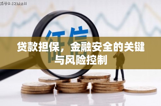 新市贷款担保，金融安全的关键与风险控制